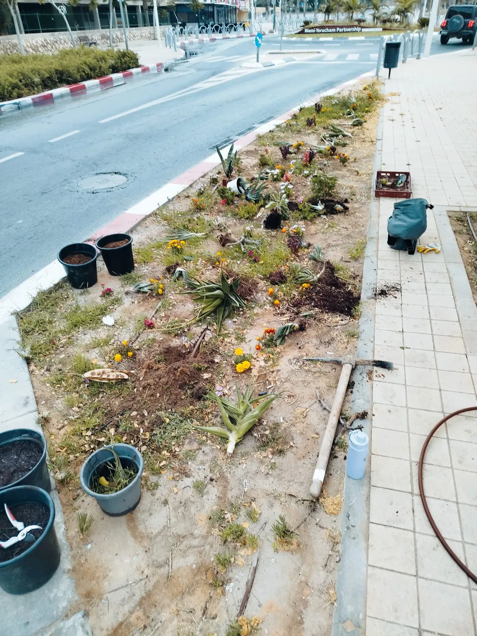 גינה קטנה לצד מדרכה — לפני