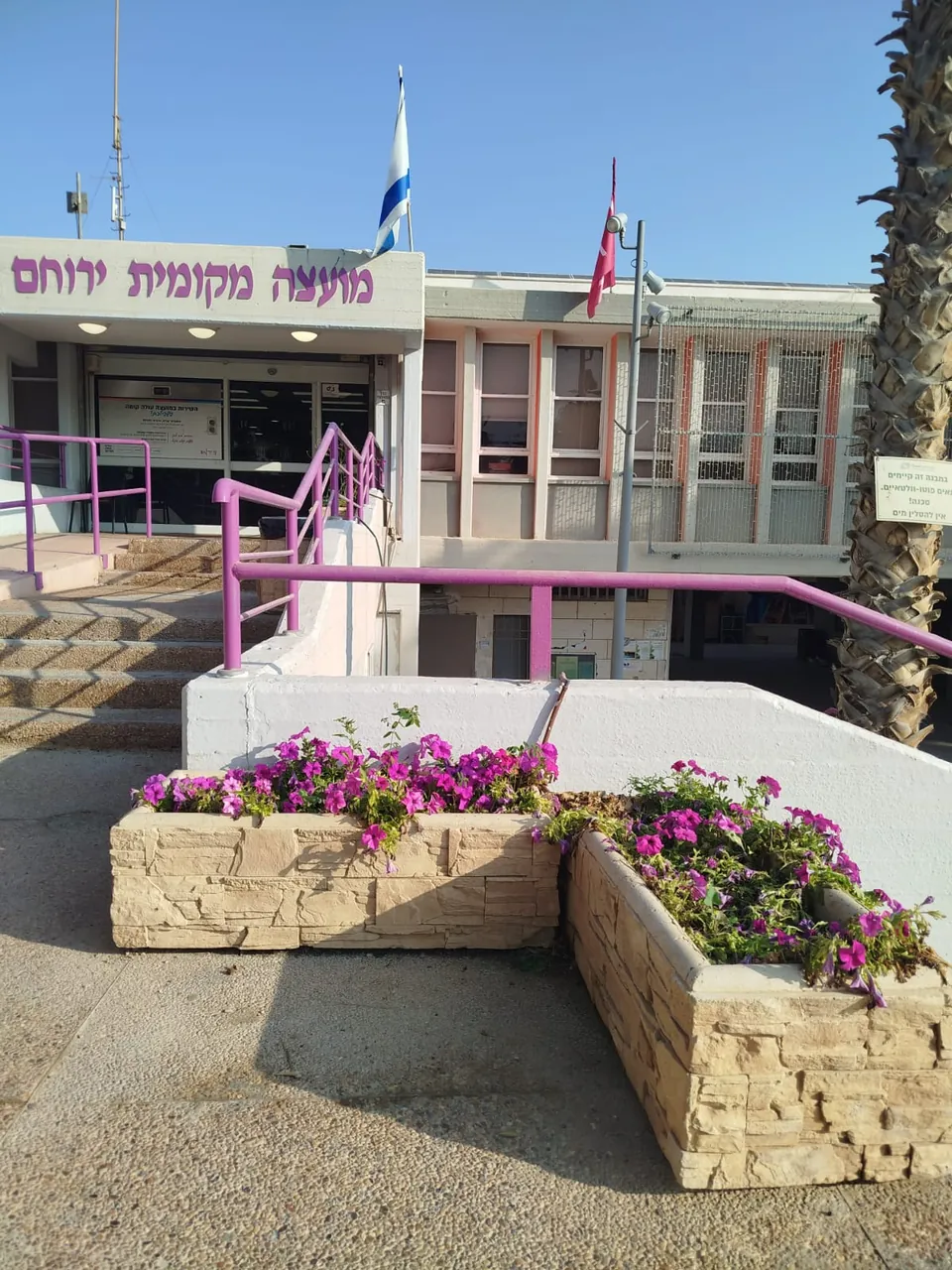אדניות בכניסה לבניין מועצה מקומית ירוחם — לפני