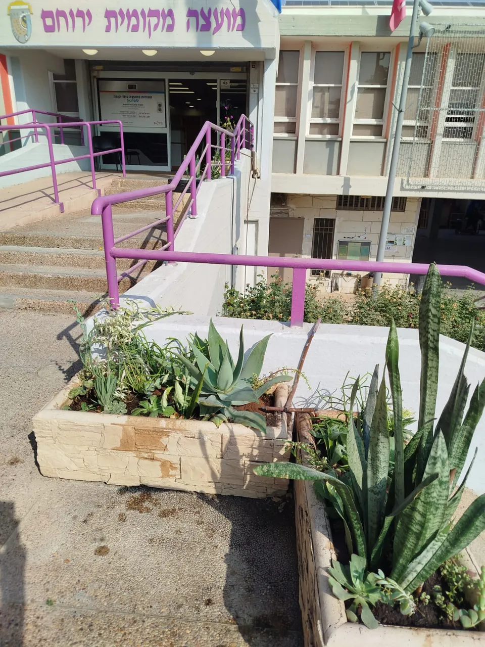 אדניות בכניסה לבניין מועצה מקומית ירוחם — אחרי