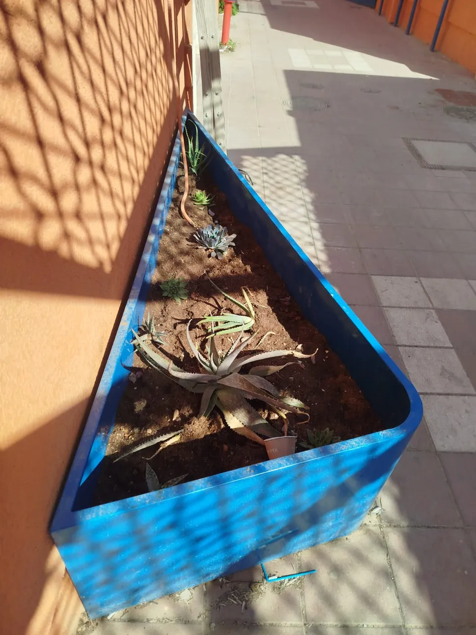 לפני