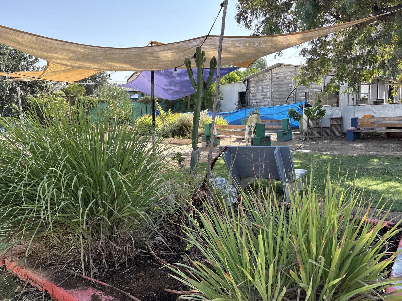 גינה חברתית בבית הומא — אחרי